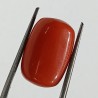 Authentic Original Red Coral Stone With Lab-Certified  12.85 Carat