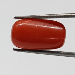 Authentic Original Red Coral Stone With Lab-Certified 7.60Carat