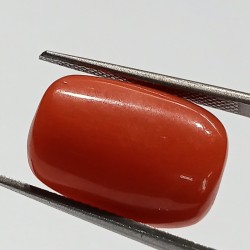 Authentic Original Red Coral Stone With Lab-Certified 10.20 Carat