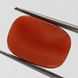 Authentic Original Red Coral Stone With Lab-Certified 12.47 Carat