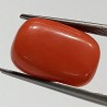 Authentic Original Red Coral Stone With Lab-Certified 12.47 Carat