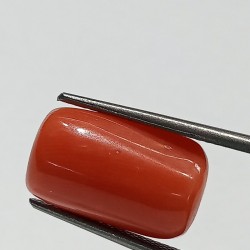 Authentic Original Red Coral Stone With Lab-Certified 9.57 Carat