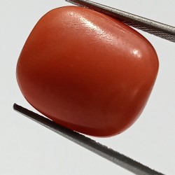 Authentic Original Red Coral Stone With Lab-Certified 3.04 Carat