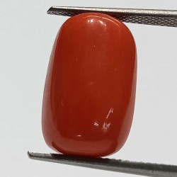 Authentic Original Red Coral Stone With Lab-Certified 12.36 Carat