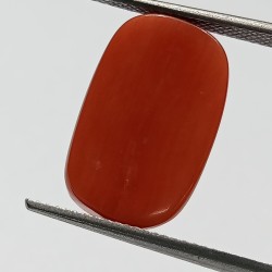 Authentic Original Red Coral Stone With Lab-Certified 12.19 Carat
