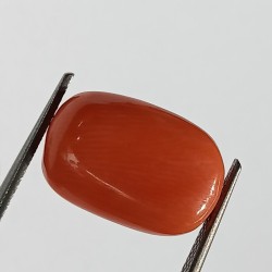 Authentic Original Red Coral Stone With Lab-Certified 8.77 Carat