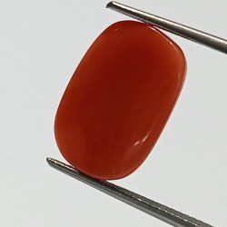 Authentic Original Red Coral Stone With Lab-Certified 8.77 Carat