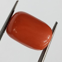 Authentic Original Red Coral Stone With Lab-Certified 13.35 Carat