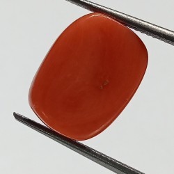 Authentic Original Red Coral Stone With Lab-Certified 11.55 Carat