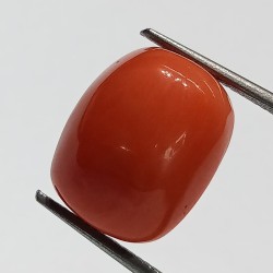 Authentic Original Red Coral Stone With Lab-Certified 13.99 Carat