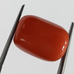 Authentic Original Red Coral Stone With Lab-Certified 11.56 Carat