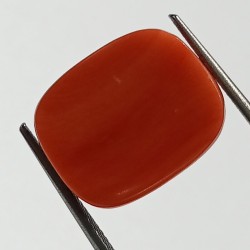 Authentic Original Red Coral Stone With Lab-Certified 17.99 Carat
