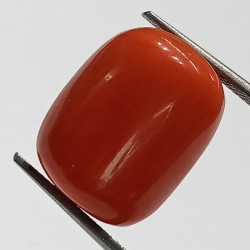 Authentic Original Red Coral Stone With Lab-Certified 17.99 Carat