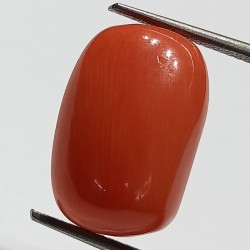 Authentic Original Red Coral Stone With Lab-Certified 13.34 Carat