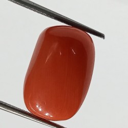 Authentic Original Red Coral Stone With Lab-Certified 13.34 Carat