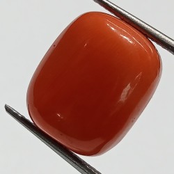 Authentic Original Red Coral Stone With Lab-Certified 15.65 Carat