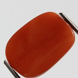 Authentic Original Red Coral Stone With Lab-Certified 12.71 Carat