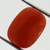 Authentic Original Red Coral Stone With Lab-Certified 10.93 Carat