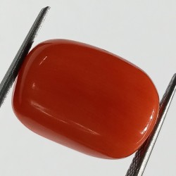 Authentic Original Red Coral Stone With Lab-Certified 10.93 Carat