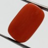 Authentic Original Red Coral Stone With Lab-Certified 12.21 Carat
