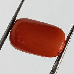 Authentic Original Red Coral Stone With Lab-Certified 12.21 Carat