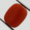 Authentic Original Red Coral Stone With Lab-Certified 15.00 Carat