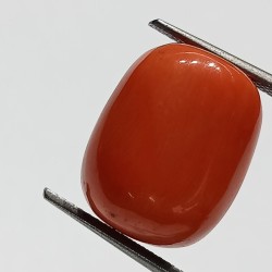 Authentic Original Red Coral Stone With Lab-Certified 15.00 Carat