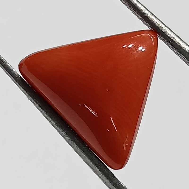 Triangle Red Coral/ Moonga Stone- 9.50 Carat