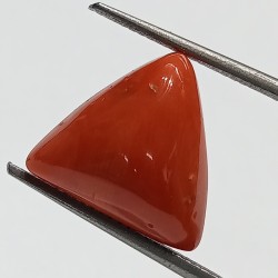Triangle Red Coral/ Moonga Stone- 10.65 Carat