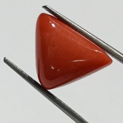 Triangle Red Coral/ Moonga Stone- 10.25 Carat