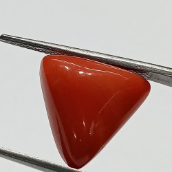 Triangle Red Coral/ Moonga Stone- 11.50 Carat
