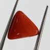 Triangle Red Coral/ Moonga Stone- 11.50 Carat