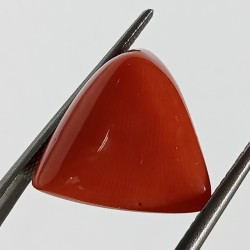 Triangle Red Coral/ Moonga Stone- 12.80 Carat