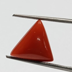 Triangle Red Coral/ Moonga...