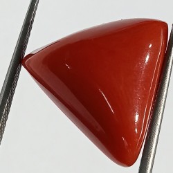 Triangle Red Coral/ Moonga Stone- 14.25 Carat