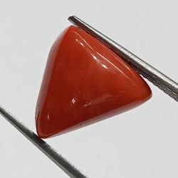 Triangle Red Coral/ Moonga Stone- 8.84 Carat