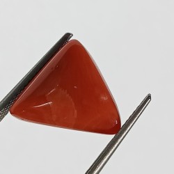Triangle Red Coral/ Moonga Stone- 8.84 Carat