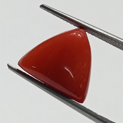 Triangle Red Coral/ Moonga...