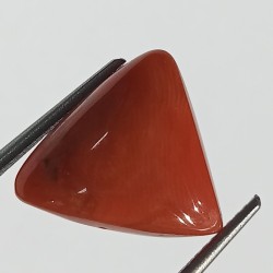 Triangle Red Coral/ Moonga Stone- 11.60 Carat