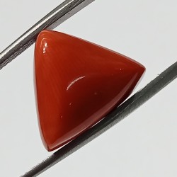 Triangle Red Coral/ Moonga...