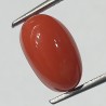 Authentic Original Red Coral Stone With Lab-Certified 5.50 Carat