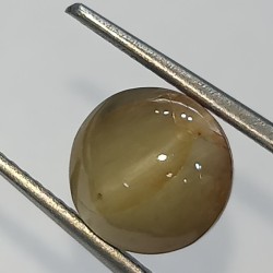 Cat’s Eye Stone (Lehsunia) & Lab- Certified Gemstone – 4.84 Carat
