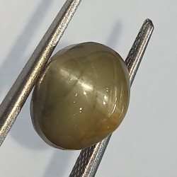 Cat’s Eye Stone (Lehsunia) & Lab- Certified Gemstone – 5.64 Carat