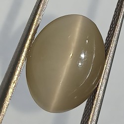 Cat’s Eye Stone (Lehsunia) & Lab- Certified Gemstone – 5.17 Carat