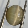 Cat’s Eye Stone (Lehsunia) & Lab- Certified Gemstone – 7.12 Carat