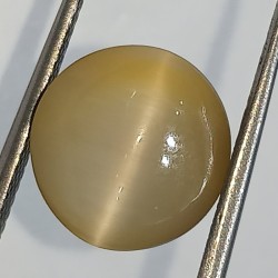 Cat’s Eye Stone (Lehsunia) & Lab- Certified Gemstone – 6.16 Carat