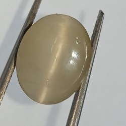 Cat’s Eye Stone (Lehsunia) & Lab- Certified Gemstone – 6.62 Carat